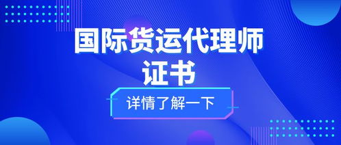國(guó)際貨運(yùn)代理師證 考試難度、核心職責(zé)與證書價(jià)值全解析